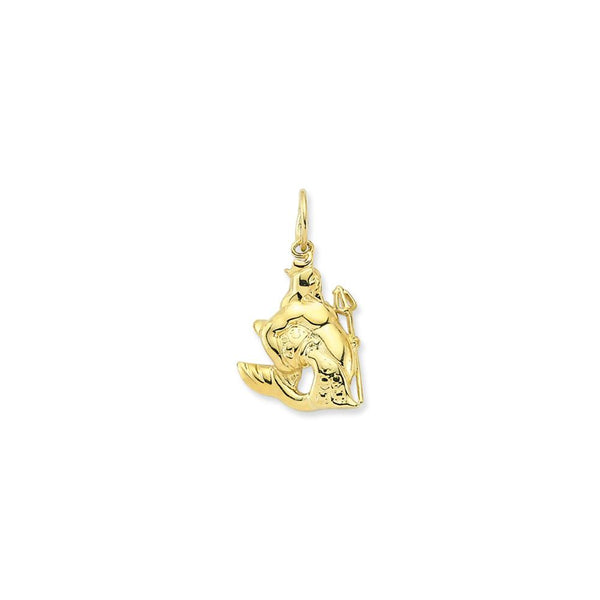 9ct Yellow Gold Aquarius Pendant